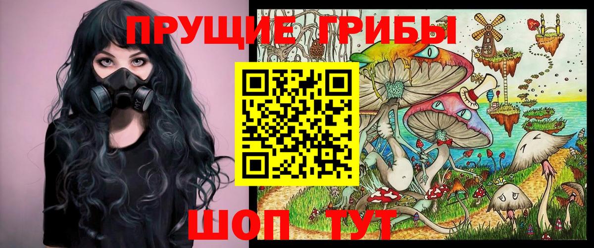 Можга  Псилоцибиновые грибы Magic Shrooms  Вход с VPN 