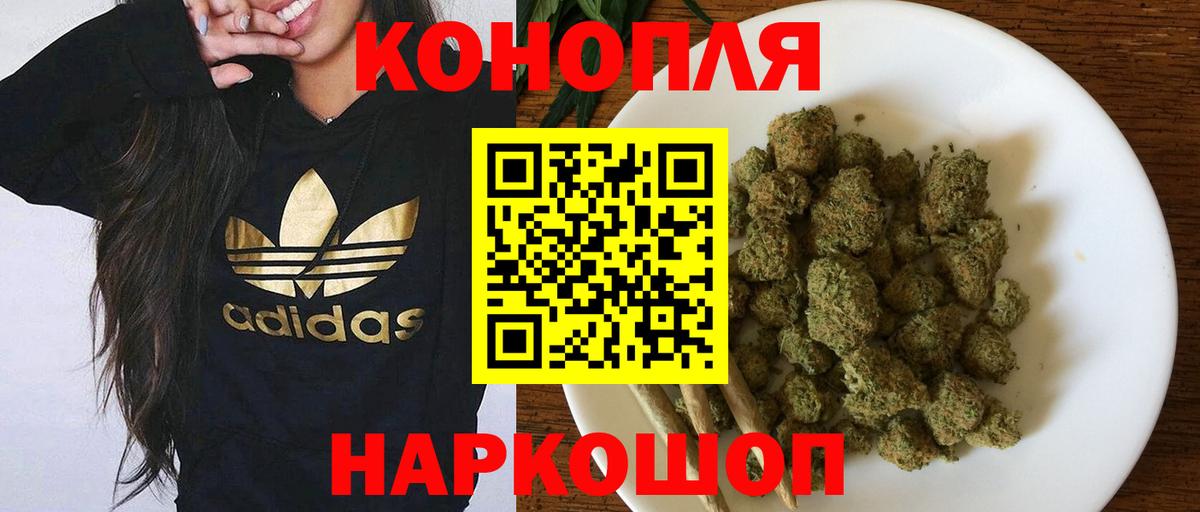Каннабис сатива Можга